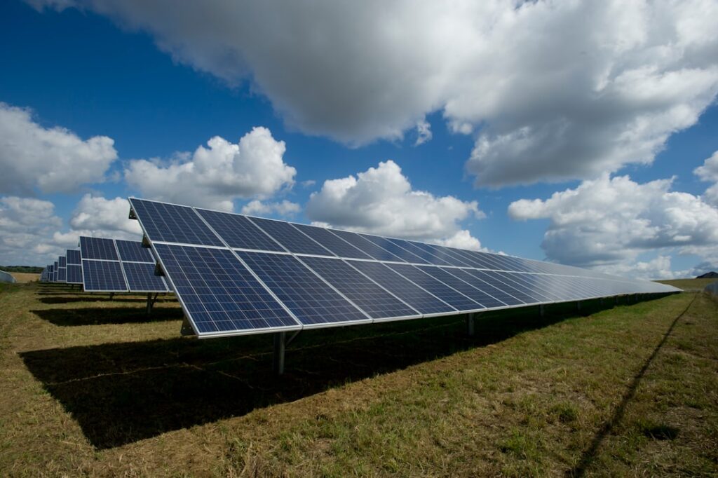 A rooftop covered in solar panels with the sun shining and green trees in the background.